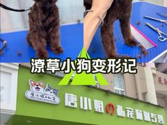-唐小姐の猫狗洗护·购宠旗舰店(周浦万达店)