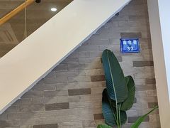 -韩萍老南京馄饨(河西万达店)