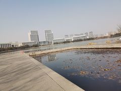 -尚贤河湿地