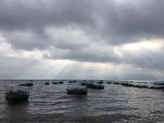 -抚仙湖禄充风景区