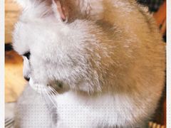 -不舍昼夜咖啡馆