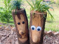 -神光山国家森林公园