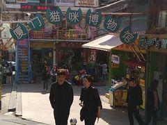 -猫咪博物馆(顶澳仔猫街店)