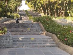 -深圳国际园林花卉博览园