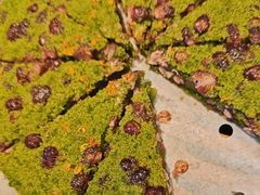 -长风源·寻衢味(20年老店)