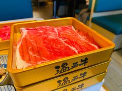 -温禾牛·和牛寿喜烧自助火锅(恒基名人店)
