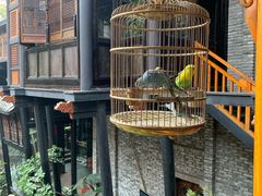 -鱼桥巷·美学川菜