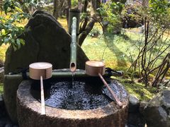 -西芳寺(苔寺)
