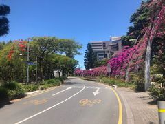 -布里斯班南岸公园