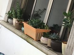 -美味之家·湖景农家乐(太湖东山店)