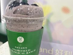 -茉酸奶(春熙路店)