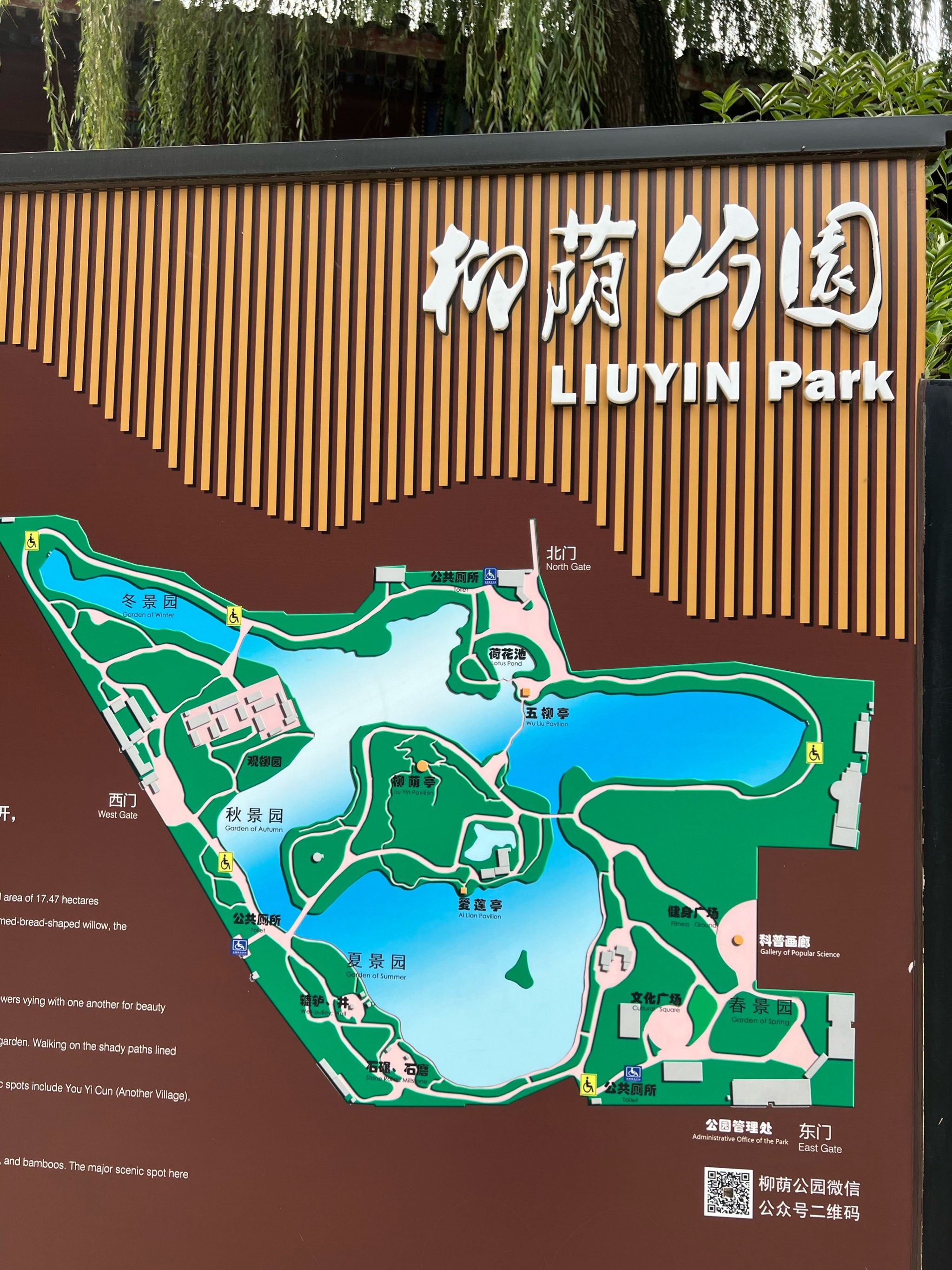 想看荷花不一定要花钱去北海喽～和地坛公园相隔一站地的柳荫公园大片