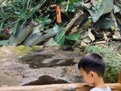 -上海佘山国家森林公园天马山园