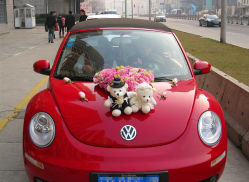 -畅步婚车(浦东店)