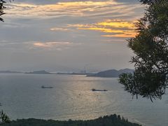 -广东惠东海龟国家级自然保护区