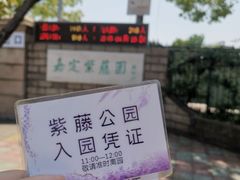 -嘉定紫藤园