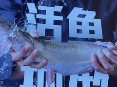 -老板恋上鱼(恒隆广场店)