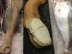 象跋棒-莆鑫海鲜城(浏河店)