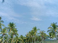 -三亚亚龙湾金棕榈度假酒店