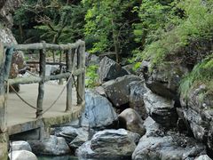 -石台牯牛降景区