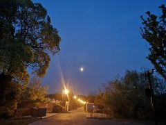 -桃花岛景观公园
