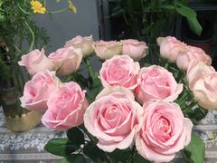 -Libra Flora花店(骆岗中央公园店)