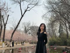 -桃花堤公园