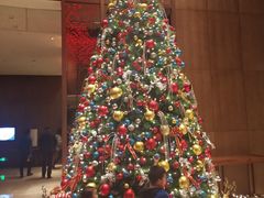 -嘉定凯悦·咖啡厅