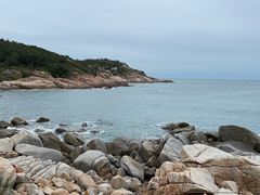 -广东惠东海龟国家级自然保护区