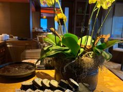 -上海外滩茂悦大酒店