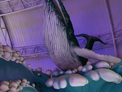 -烟台海昌鲸鲨海洋公园