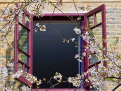 -武汉大学-樱园