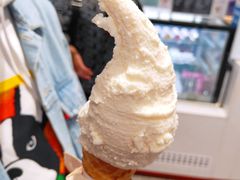 -野人先生现做冰淇淋(西安赛格店)