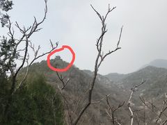 -红螺寺