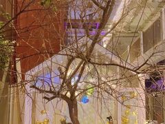 -春树下·树屋花房西餐厅(罍街AS1980店)