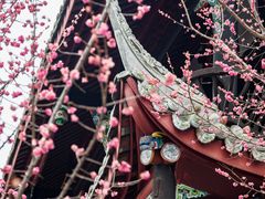 -望江楼公园