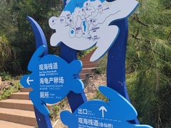 -广东惠东海龟国家级自然保护区