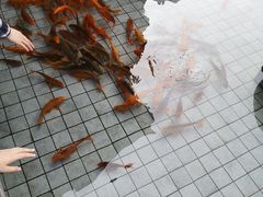 -千岛湖品鱼馆(钓鱼岛店)