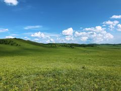 -乌兰布统草原