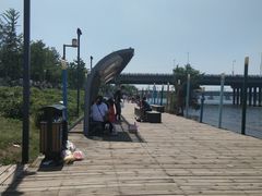 -长白岛森林公园