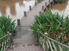 android_upload_pic-西昌邛海湿地