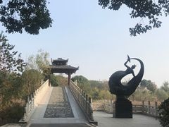 -东湖落雁景区