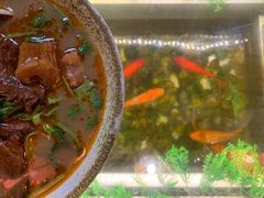-金杨拉面王小吃面馆·牛三宝面·红烧牛肉粉