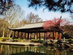 -杭州植物园