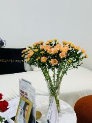 -WENDY·温迪皮肤管理