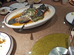 -百年银屏蚝烙·潮汕菜·非遗(乐山店)