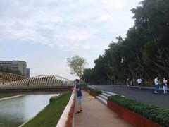 -福田红树林生态公园