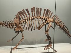 -湖南省地质博物馆