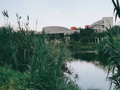-华侨大学(厦门校区)
