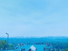 -南京老山国家森林公园